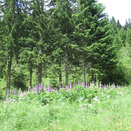 Sonnenhanghutte Innerkrems Zewnętrze zdjęcie